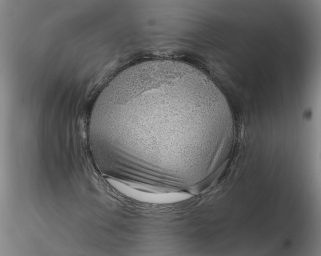 X0000116351106200912221456