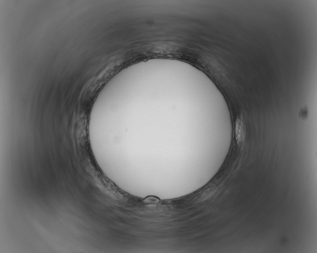 X0000116351107200912221456