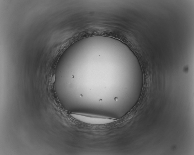 X0000116351109200912221456