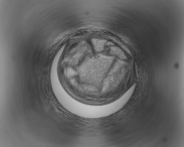 X0000116351110200912221456