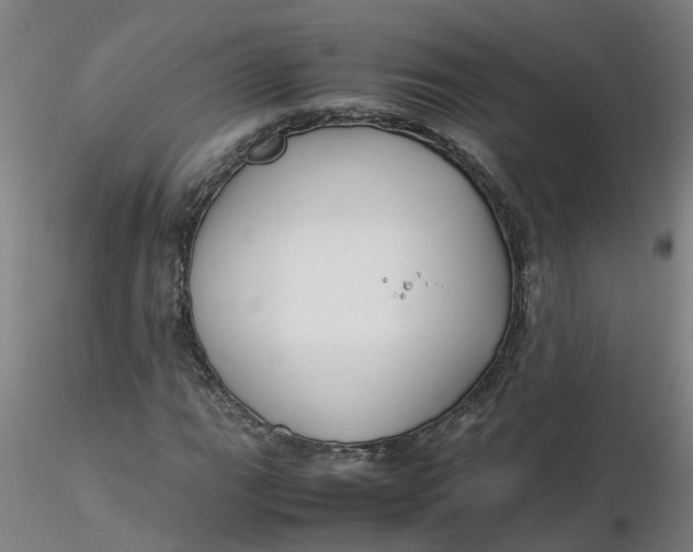 X0000116351111200912221456