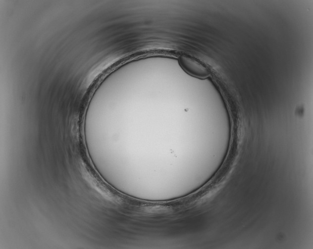 X0000116351113200912221456