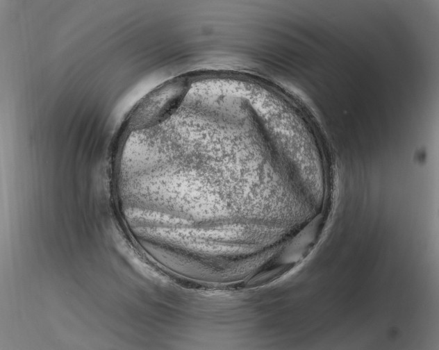 X0000116351114200912221456