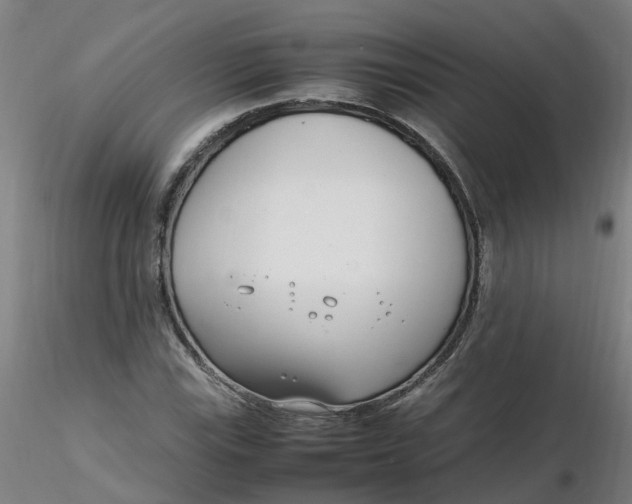 X0000116351115200912221456