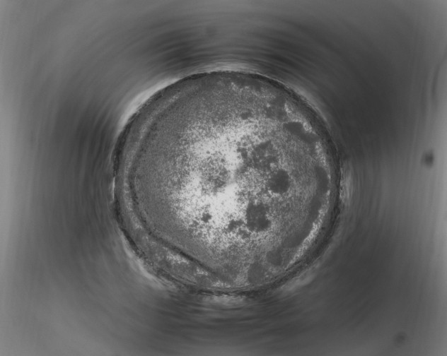 X0000116351117200912221456