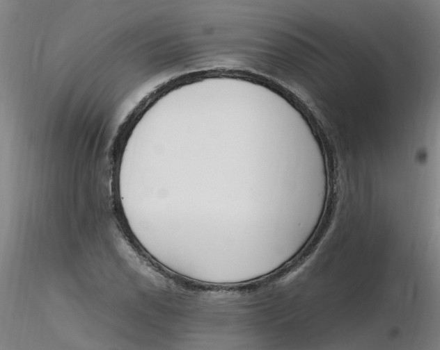 X0000116351118200912221456