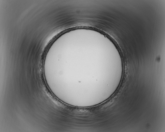 X0000116351119200912221456