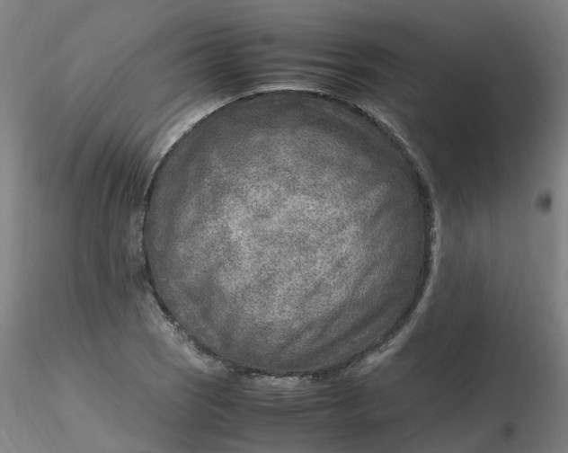 X0000116351121200912221456