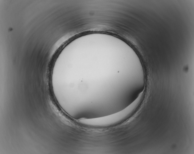 X0000116351122200912221456