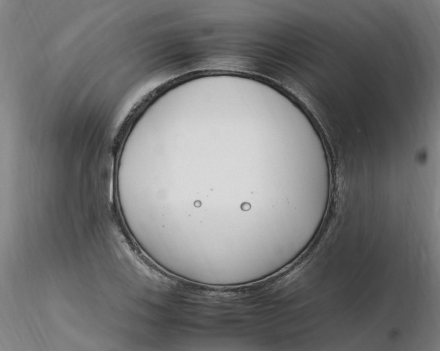 X0000116351123200912221456