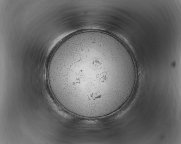 X0000116351125200912221456