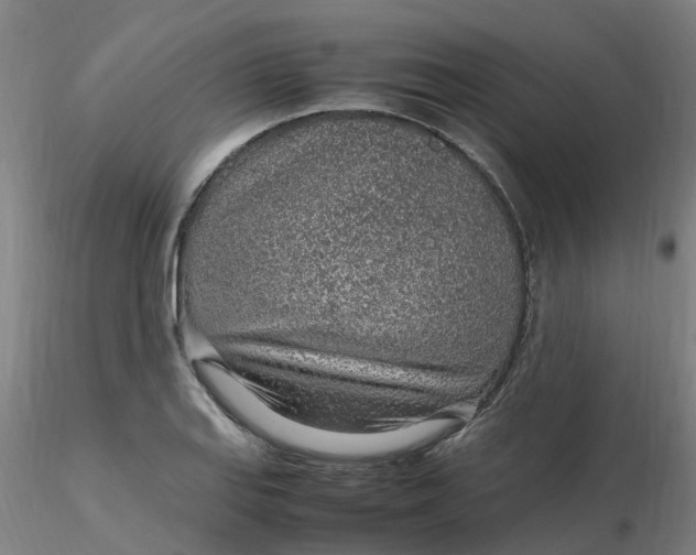 X0000116351127200912221456