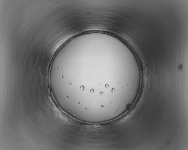 X0000116351129200912221456