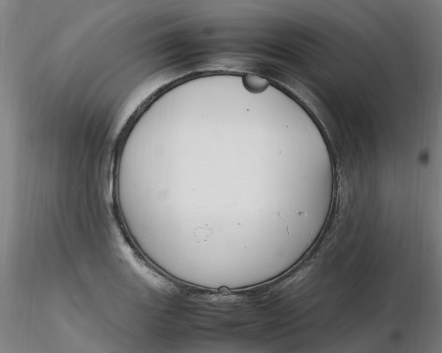 X0000116351131200912221456