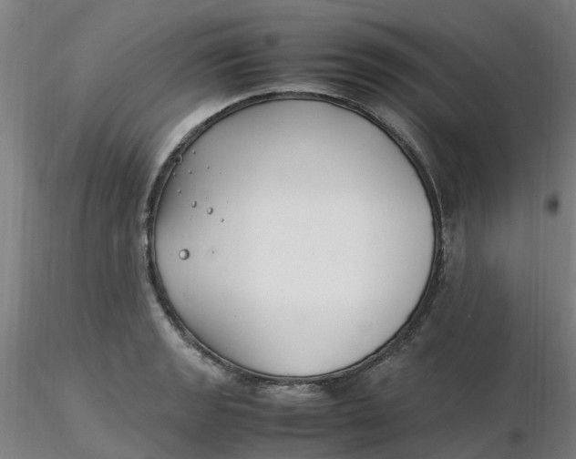 X0000116351133200912221456