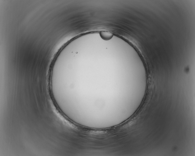 X0000116351135200912221456