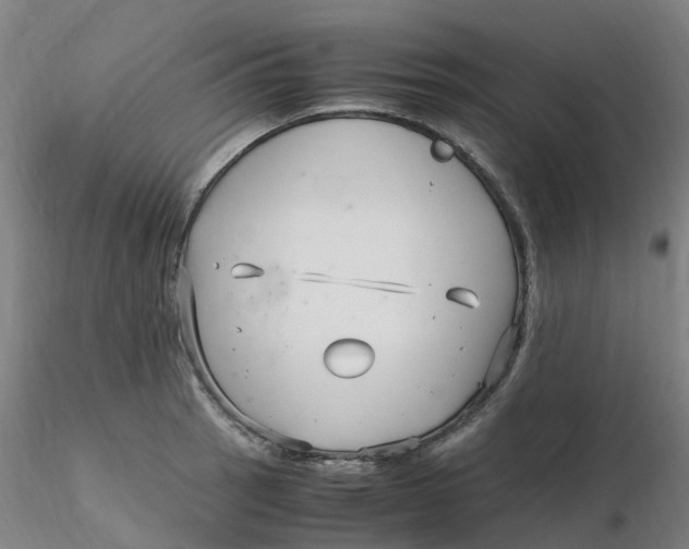 X0000116351137200912221456