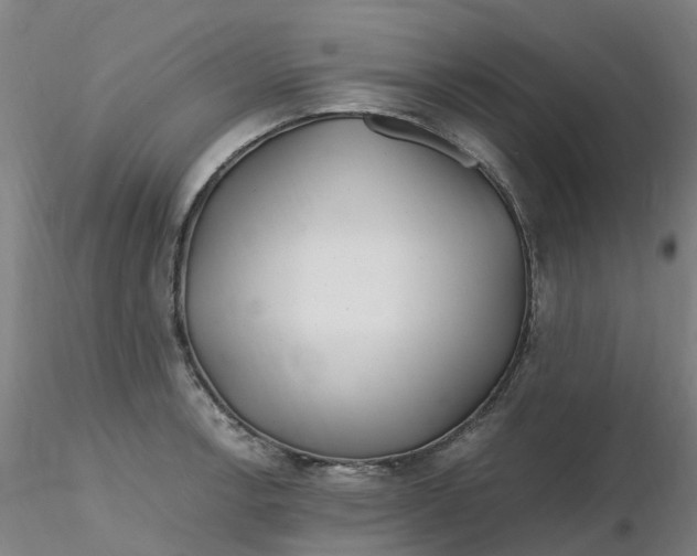 X0000116351138200912221456