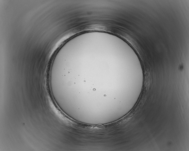 X0000116351139200912221456