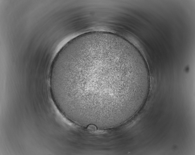 X0000116351141200912221456