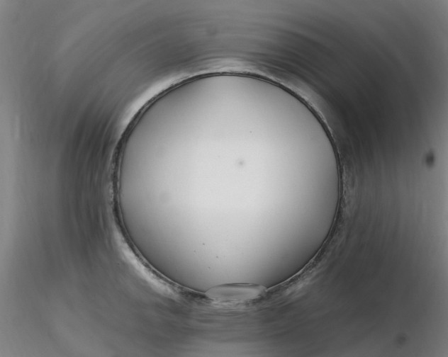 X0000116351142200912221456