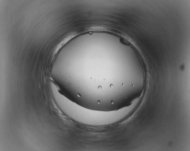 X0000116351145200912221456