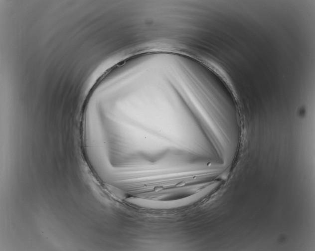 X0000116351146200912221456