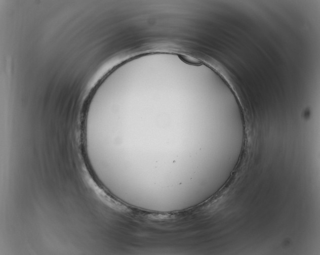 X0000116351147200912221456