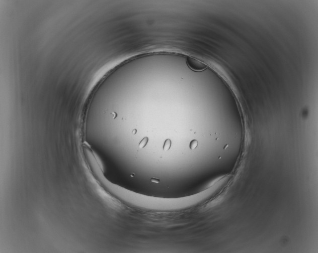 X0000116351149200912221456