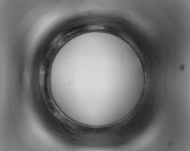 X0000116351151200912221456