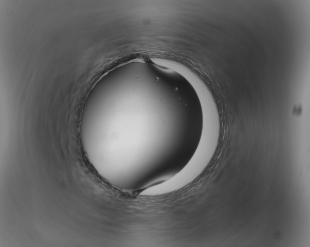 X0000116351153200912221456