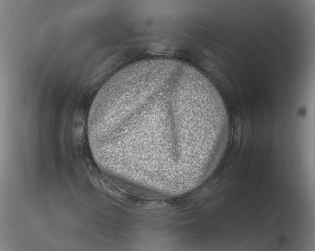 X0000116351154200912221456