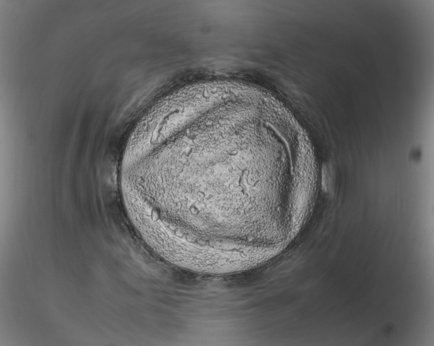 X0000116351155200912221456