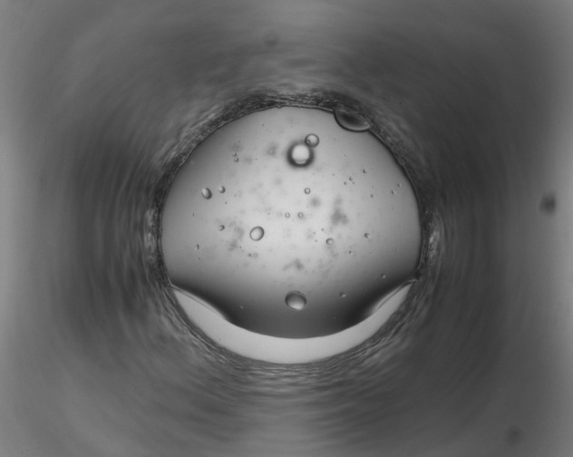 X0000116351156200912221456