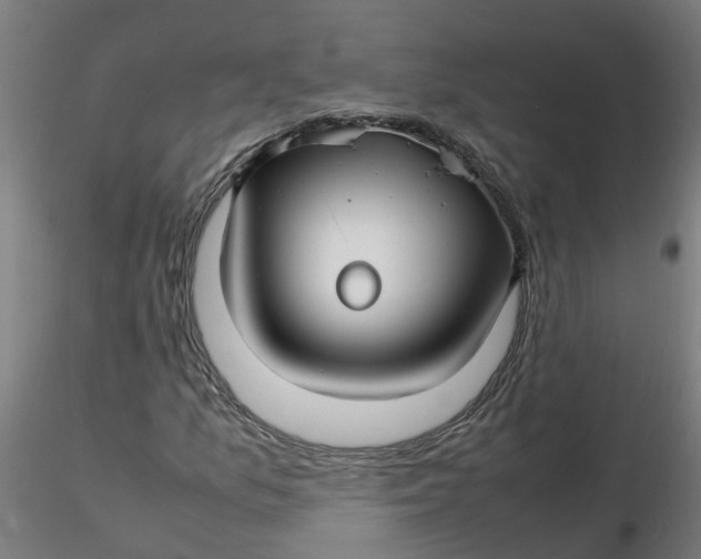 X0000116351157200912221456