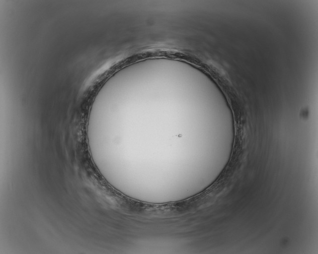 X0000116351159200912221456