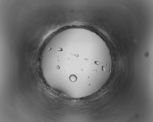 X0000116351160200912221456