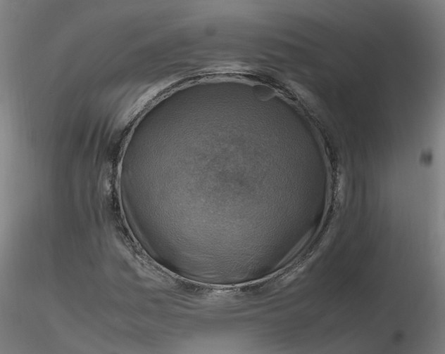 X0000116351161200912221456