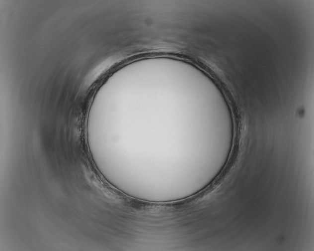 X0000116351163200912221456