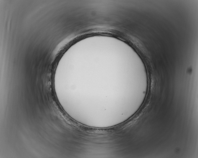 X0000116351164200912221456