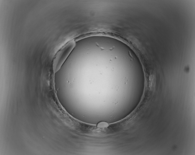 X0000116351165200912221456