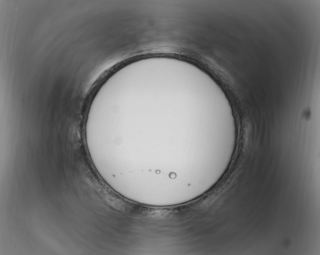 X0000116351166200912221456