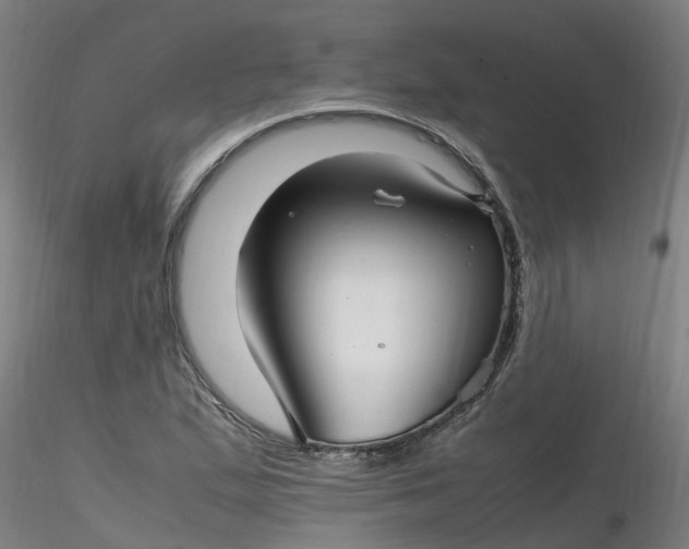 X0000116351167200912221456