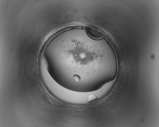 X0000116351168200912221456