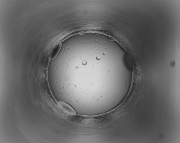 X0000116351169200912221456