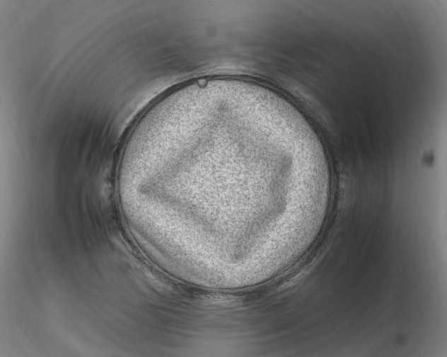 X0000116351170200912221456