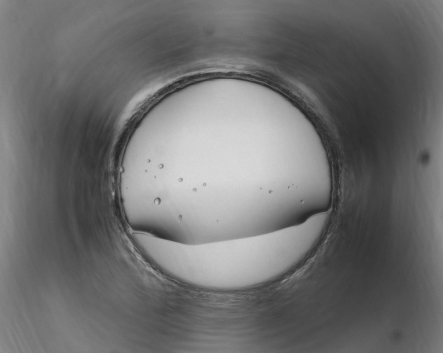 X0000116351172200912221456