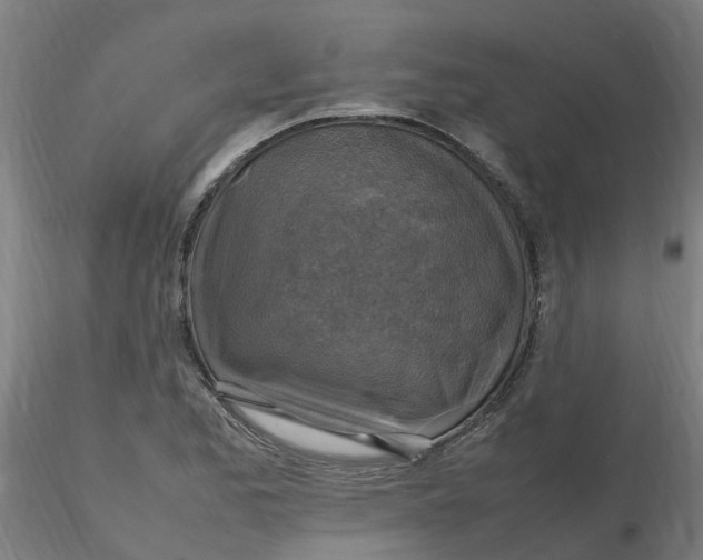 X0000116351173200912221456