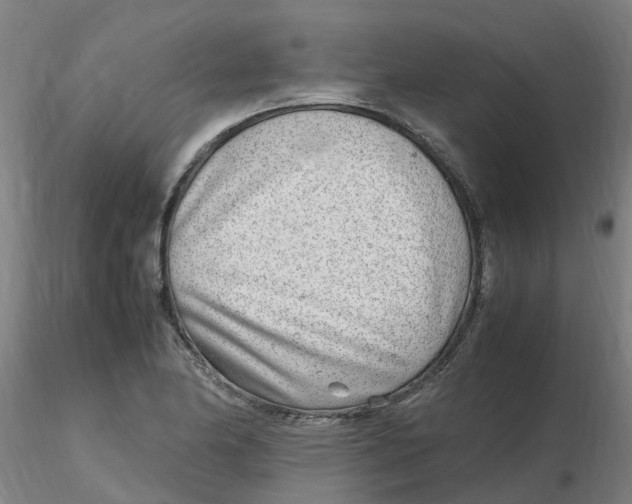 X0000116351174200912221456