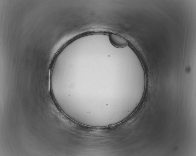 X0000116351175200912221456